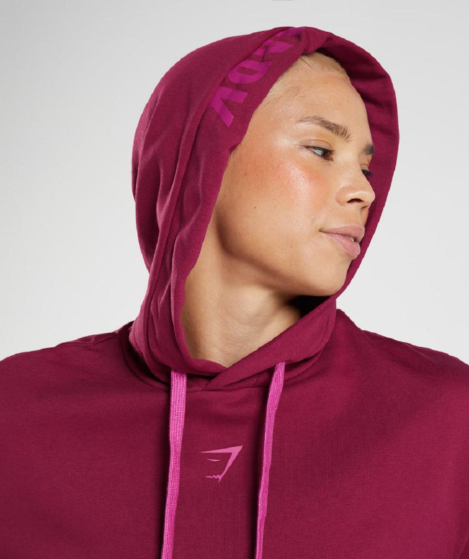 Gymshark Graphics Fraction Ženske Majica S Kapuljačom Roze | HR 3557OKI